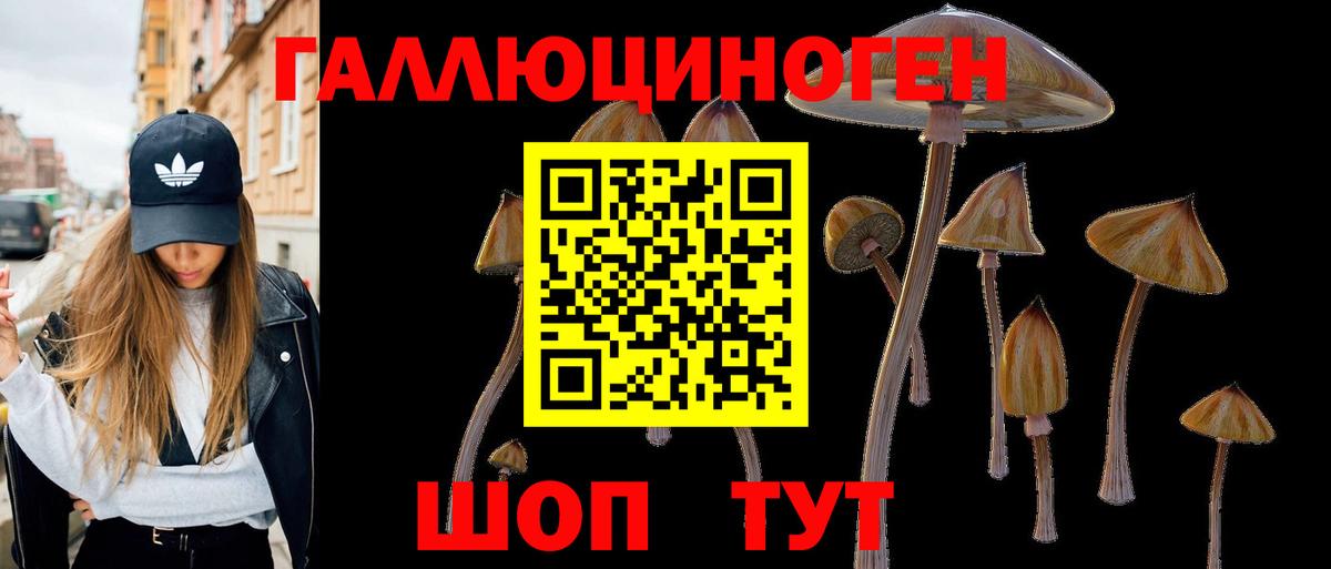 Псилоцибиновые грибы Cubensis  Вход с VPN  Кропоткин 